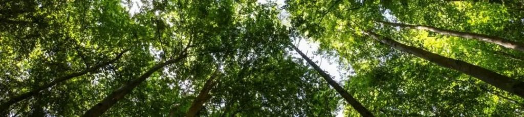 混凝土防水指南--結晶型防水外加劑的優勢 4 4 3