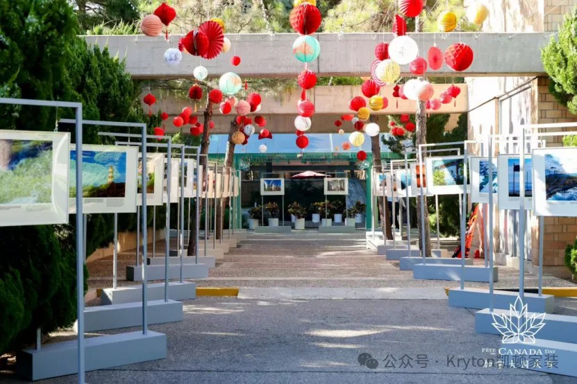 凱頓國(guó)際
