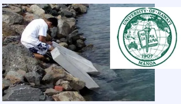 凱頓的KIM?混凝土防水外加劑